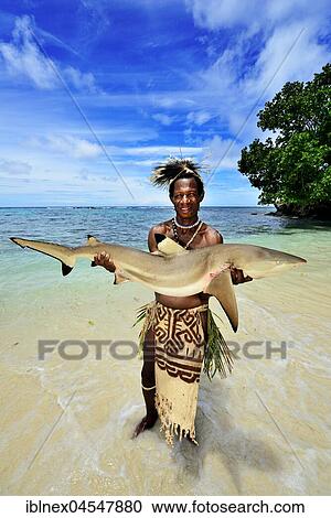 Folk tribe Korafe, man with typical tapa clothing made of tree bark holds a captive Blacktip reef shark (Carcharhinus melanopterus) in his hands, Yavi Village, Tufi, Papua New Guinea. View Large Photo Image Stock Image - Folk tribe Korafe, man with typical tapa clothing made of tree bark holds a captive Blacktip reef shark (Carcharhinus melanopterus) in his hands, Yavi Village, Tufi, Papua New Guinea.. Fotosearch