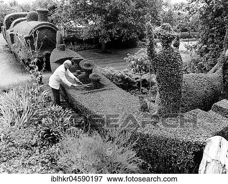 Gardener cuts hedges in the shape of a gondola, England, Great Britain View Large Photo Image Stock Photo - Gardener cuts hedges in the shape of a gondola, England, Great Britain. Fotosearch