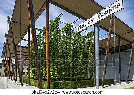 German hop museum, Wolnzach, Hallertau, Holledau, Upper Bavaria, Bavaria, Germany, Europe View Large Photo Image Picture - German hop museum, Wolnzach, Hallertau, Holledau, Upper Bavaria, Bavaria, Germany, Europe. Fotosearch