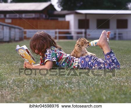 Girl feeds young lions and reads a book, England, Great Britain View Large Photo Image Stock Photograph - Girl feeds young lions and reads a book, England, Great Britain. Fotosearch