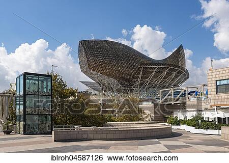 Golden fish Peix, sculpture of Frank Owen Gehry, beach promenade, Port Olimpic, La Barceloneta, Barcelona, Catalonia, Spain, La Barceloneta, Barcelona, Catalonia, Spain, Europe View Large Photo Image Stock Photograph - Golden fish Peix, sculpture of Frank Owen Gehry, beach promenade, Port Olimpic, La Barceloneta, Barcelona, Catalonia, Spain, La Barceloneta, Barcelona, Catalonia, Spain, Europe. Fotosearch