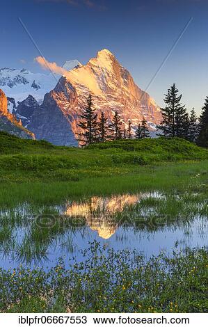 Stock Image - Große Scheidegg Passhöhe, Eiger, Mönch, Switzerland, Europe. Fotosearch