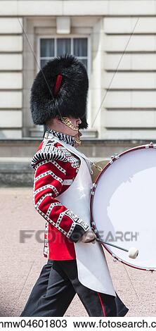 Stock Image - Guardsman of the royal guard with bearskin cap and drum, Changing of the Guard, Traditional Changing, Buckingham Palace, London, London, England, Great Britain. Fotosearch