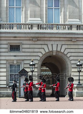 Stock Photo - Guardsmen of the Royal Guard with bearskin cap, Changing of the Guard, Traditional Changing, Buckingham Palace, London, England, Great Britain. Fotosearch
