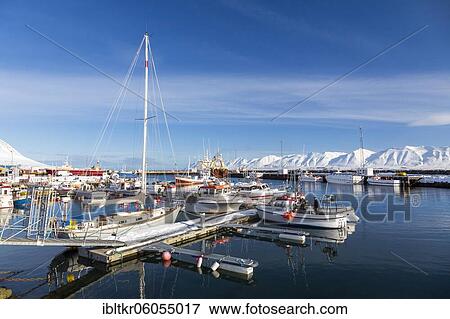 Stock Photo - Harbour of Dalvik in winter, Akureyrifjord, Iceland, Europe. Fotosearch