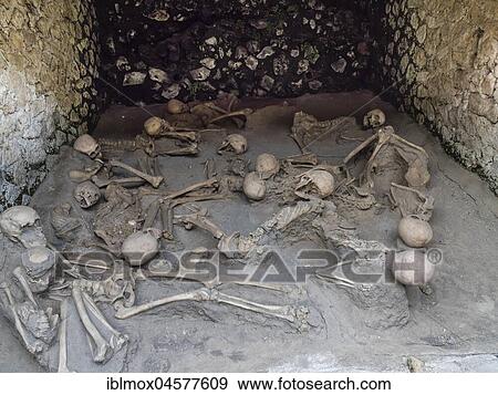 Herculaneum, skull and skeletons of volcanic eruption surprised inhabitants, excavation site, Gulf of Naples, Campania, Italy, Europe View Large Photo Image Stock Photo - Herculaneum, skull and skeletons of volcanic eruption surprised inhabitants, excavation site, Gulf of Naples, Campania, Italy, Europe. Fotosearch