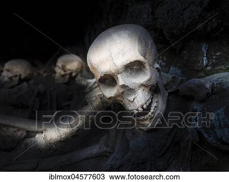 Herculaneum, skull of a volcanic eruption of surprised inhabitants, excavation site, Gulf of Naples, Campania, Italy, Europe View Large Photo Image Stock Image - Herculaneum, skull of a volcanic eruption of surprised inhabitants, excavation site, Gulf of Naples, Campania, Italy, Europe. Fotosearch