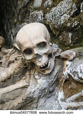 Herculaneum, skull of a volcanic eruption of surprised inhabitants, excavation site, Gulf of Naples, Campania, Italy, Europe View Large Photo Image Stock Photograph - Herculaneum, skull of a volcanic eruption of surprised inhabitants, excavation site, Gulf of Naples, Campania, Italy, Europe. Fotosearch