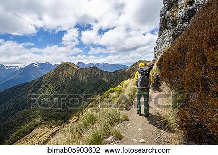 Stock Image - Hiker on Kepler Track, Great Walk, views of Murchison Mountains, Fiordland National Park, Southland, New Zealand, Oceania. Fotosearch