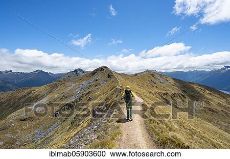Stock Image - Hiker on Kepler Track, Great Walk, view of Kepler Mountains, Fiordland National Park, Southland, New Zealand, Oceania. Fotosearch