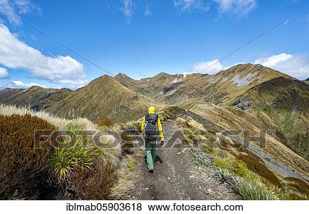 Hiker on Kepler Track, Great Walk, view of Kepler Mountains, Fiordland National Park, Southland, New Zealand, Oceania View Large Photo Image Stock Photo - Hiker on Kepler Track, Great Walk, view of Kepler Mountains, Fiordland National Park, Southland, New Zealand, Oceania. Fotosearch