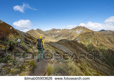 Stock Photograph - Hiker on Kepler Track, Great Walk, view of Kepler Mountains, Fiordland National Park, Southland, New Zealand, Oceania. Fotosearch