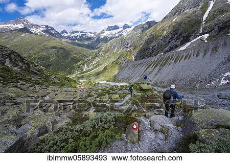 Stock Image - Hiker on marked hiking trail, descent from Schönbichler Horn to Berliner Hütte, moraine landscape, Waxeggkees Glacier, Berliner Höhenweg, Zillertal Alps, Zillertal, Tyrol, Austria, Europe. Fotosearch