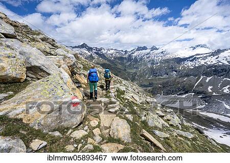 Stock Photo - Hiker on marked hiking trail, descent from Schönbichler Horn to Berliner Hütte, behind Schwarzenstein and the Schwarzensteinkees glacier, Berliner Höhenweg, Zillertal Alps, Zillertal, Tyrol, Austria, Europe. Fotosearch