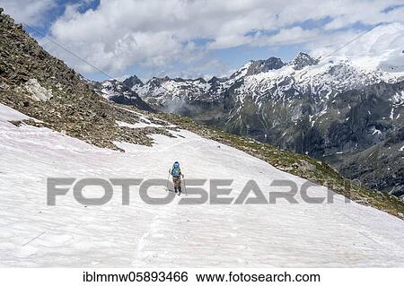 Stock Photograph - Hiker on the descent from Schönbichler Horn to the Berliner Hut, snow field, Berliner Höhenweg, Zillertal Alps, Zillertal, Tyrol, Austria, Europe. Fotosearch