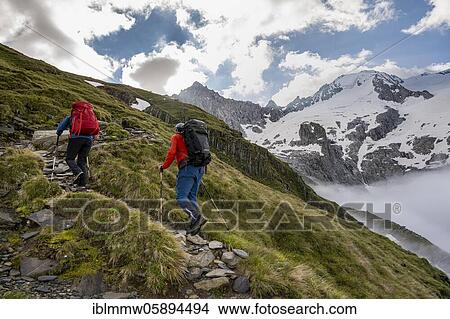 Hikers in front of snow-covered mountain peaks, Furtschaglspitze and Großer Möseler, ascent to Schönbichler Horn, Furtschaglkees glacier, Berliner Höhenweg, Zillertal Alps, Zillertal, Tyrol, Austria, Europe View Large Photo Image Picture - Hikers in front of snow-covered mountain peaks, Furtschaglspitze and Großer Möseler, ascent to Schönbichler Horn, Furtschaglkees glacier, Berliner Höhenweg, Zillertal Alps, Zillertal, Tyrol, Austria, Europe. Fotosearch