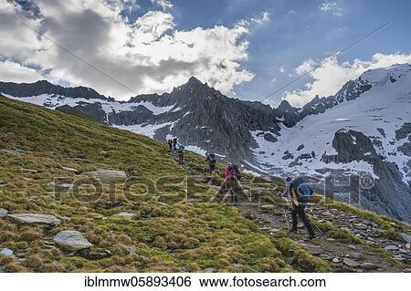 Hikers in front of snow-covered mountain peaks, Furtschaglspitze and Großer Möseler, ascent to Schönbichler Horn, Furtschaglkees glacier, Berliner Höhenweg, Zillertal Alps, Zillertal, Tyrol, Austria, Europe View Large Photo Image Stock Photograph - Hikers in front of snow-covered mountain peaks, Furtschaglspitze and Großer Möseler, ascent to Schönbichler Horn, Furtschaglkees glacier, Berliner Höhenweg, Zillertal Alps, Zillertal, Tyrol, Austria, Europe. Fotosearch