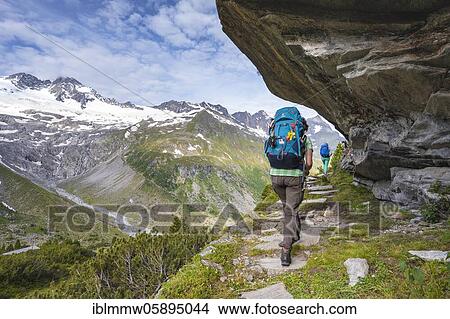 Picture - Hikers on the Berliner Höhenweg, Behind the Waxeggkees Glacier, Zillertal Alps, Zillertal, Tyrol, Austria, Europe. Fotosearch