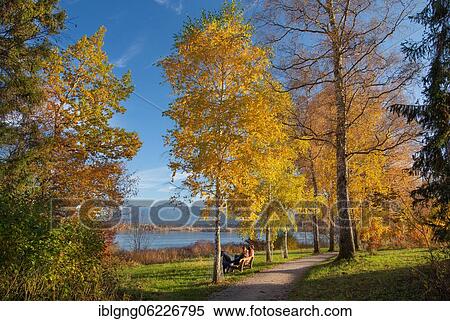 Hiking trail at Staffelsee, Uffing am Staffelsee, The Blue Land, Upper Bavaria, Bavaria, Germany, Europe View Large Photo Image Stock Photography - Hiking trail at Staffelsee, Uffing am Staffelsee, The Blue Land, Upper Bavaria, Bavaria, Germany, Europe. Fotosearch