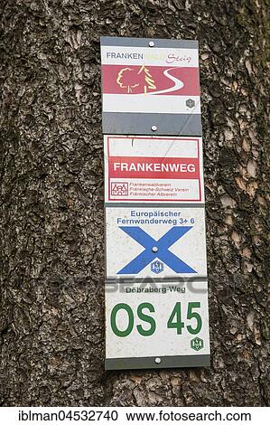 Hiking trail markings on tree trunk, Döbraberg near Schwarzenbach am Wald, Franconian forest, Upper Franconia, Franconia, Bavaria, Germany, Europe View Large Photo Image Stock Image - Hiking trail markings on tree trunk, Döbraberg near Schwarzenbach am Wald, Franconian forest, Upper Franconia, Franconia, Bavaria, Germany, Europe. Fotosearch