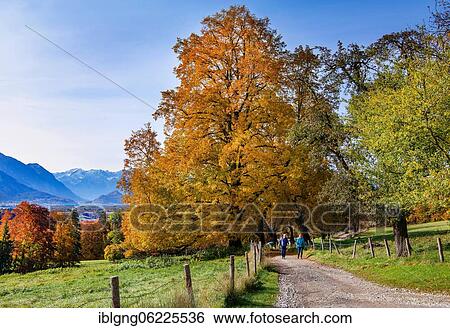 Hiking trail near Guglhör above the Murnauer moss, Murnau, The Blue Land, Upper Bavaria, Bavaria, Germany, Europe View Large Photo Image Stock Photograph - Hiking trail near Guglhör above the Murnauer moss, Murnau, The Blue Land, Upper Bavaria, Bavaria, Germany, Europe. Fotosearch