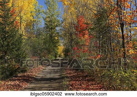 Hiking trail through autumn landscape, Indian Summer, Quebec Province, Canada, North America View Large Photo Image Stock Image - Hiking trail through autumn landscape, Indian Summer, Quebec Province, Canada, North America. Fotosearch