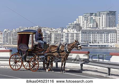 Stock Photograph - Horse carriage in front of Panorama of Sliema, Valletta, Malta, Europe. Fotosearch