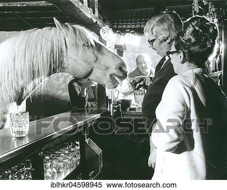 Stock Photography - Horse drinks at a pub, England, Great Britain. Fotosearch