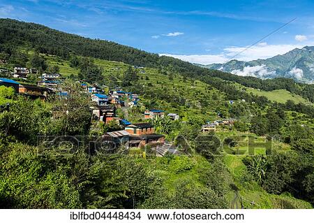 Houses in agricultural landscape with green terrace rice fields, Chitre, Upper Kali Gandaki valley, Myagdi District, Nepal, Asia View Large Photo Image Picture - Houses in agricultural landscape with green terrace rice fields, Chitre, Upper Kali Gandaki valley, Myagdi District, Nepal, Asia. Fotosearch