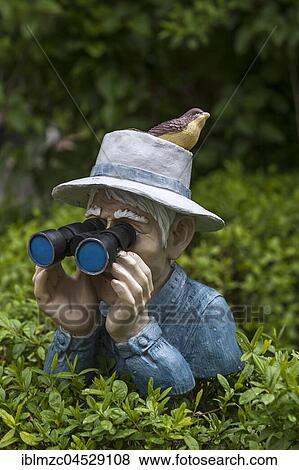 Human figure with bird on hat and binoculars looking over a hedge, Bavaria, Germany, Europe View Large Photo Image Stock Photo - Human figure with bird on hat and binoculars looking over a hedge, Bavaria, Germany, Europe. Fotosearch