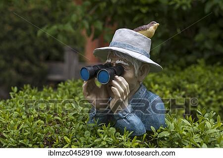 Human figure with bird on hat and binoculars looking over a hedge, Bavaria, Germany, Europe View Large Photo Image Stock Photo - Human figure with bird on hat and binoculars looking over a hedge, Bavaria, Germany, Europe. Fotosearch