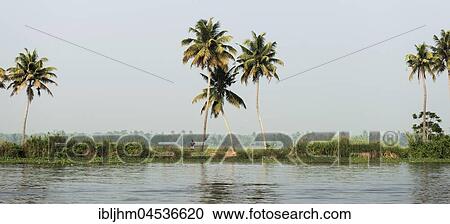 In the Backwaters near Alappuzha, Malabar Coast, Kerala, India, Asia View Large Photo Image Stock Image - In the Backwaters near Alappuzha, Malabar Coast, Kerala, India, Asia. Fotosearch
