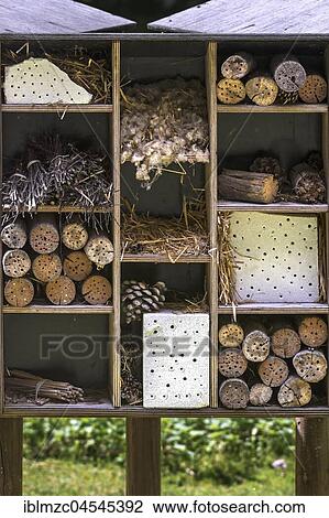 Insects hotel, Tiergarten Nuremberg, Middle Franconia, Bavaria, Germany, Europe View Large Photo Image Stock Image - Insects hotel, Tiergarten Nuremberg, Middle Franconia, Bavaria, Germany, Europe. Fotosearch
