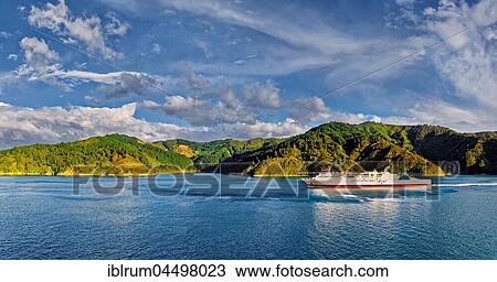 Interislander Cook Strait Ferry in Queen Charlotte Sound, Marlborough Sounds, Picton, South Island, New Zealand, Oceania View Large Photo Image Stock Image - Interislander Cook Strait Ferry in Queen Charlotte Sound, Marlborough Sounds, Picton, South Island, New Zealand, Oceania. Fotosearch