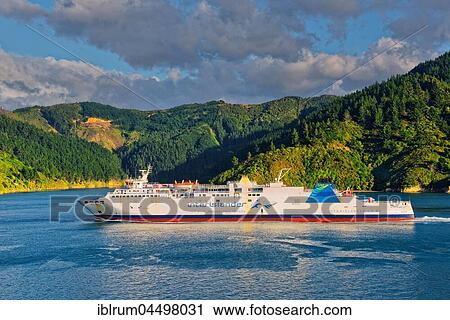 Interislander Cook Strait Ferry in Queen Charlotte Sound, Marlborough Sounds, Picton, South Island, New Zealand, Oceania View Large Photo Image Stock Image - Interislander Cook Strait Ferry in Queen Charlotte Sound, Marlborough Sounds, Picton, South Island, New Zealand, Oceania. Fotosearch