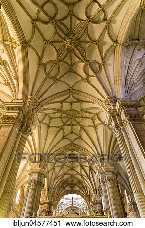 Isabellic ribbed vault, nave, Cathedral Catedral de la Encarnación de Guadix, Guadix, Marquesado Region, Province of Granada, Andalusia, Spain, Europe View Large Photo Image Stock Image - Isabellic ribbed vault, nave, Cathedral Catedral de la Encarnación de Guadix, Guadix, Marquesado Region, Province of Granada, Andalusia, Spain, Europe. Fotosearch