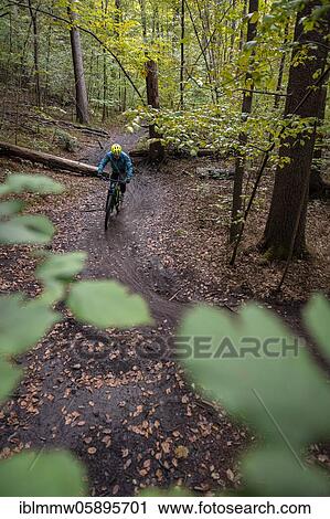 Stock Image - Isartrail, mountain bike trail in the forest, mountain bikers on a narrow trail, Isarauen, Munich, Upper Bavaria, Bavaria, Germany, Europe. Fotosearch