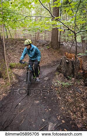 Stock Photography - Isartrail, mountain bike trail in the forest, mountain bikers on a narrow trail, Isarauen, Munich, Upper Bavaria, Bavaria, Germany, Europe. Fotosearch