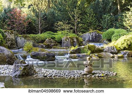Stock Photo - Japanese Garden, Botanical Garden, Augsburg, Swabia, Bavaria, Germany, Europe. Fotosearch