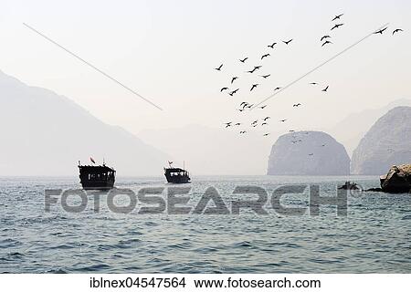 Picture - Khasab, boat trip with a dhow into the fjord landscape, Musandam, Oman, Asia. Fotosearch