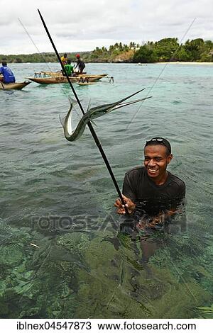 Korafe tribe, man spearing a Needlefish (Belonidae), Yavi Village, Tufi, Papua New Guinea, Oceania View Large Photo Image Stock Image - Korafe tribe, man spearing a Needlefish (Belonidae), Yavi Village, Tufi, Papua New Guinea, Oceania. Fotosearch