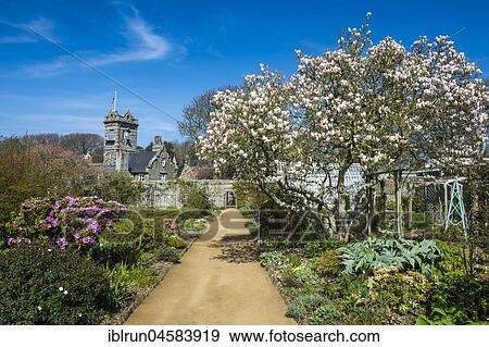 La Seigneurie gardens with historic house, Sark Island, Channel Islands, Great Britain View Large Photo Image Stock Photo - La Seigneurie gardens with historic house, Sark Island, Channel Islands, Great Britain. Fotosearch