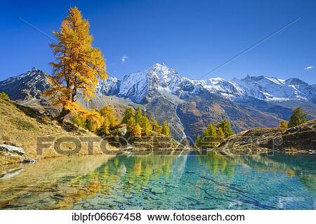 Lac Bleu, Grande Dent de Veisivi, Dent de Perroc, Aiguille de la Tsa, Valais, Switzerland, Europe View Large Photo Image Stock Photo - Lac Bleu, Grande Dent de Veisivi, Dent de Perroc, Aiguille de la Tsa, Valais, Switzerland, Europe. Fotosearch