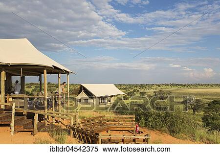 Lobby, fireplace and stilted canvas tents, Polentswa Camp on the ridge of a sand dune, during the rainy season with green surroundings, Kalahari Desert, Kgalagadi Transfrontier Park, Botswana, Africa View Large Photo Image Stock Photography - Lobby, fireplace and stilted canvas tents, Polentswa Camp on the ridge of a sand dune, during the rainy season with green surroundings, Kalahari Desert, Kgalagadi Transfrontier Park, Botswana, Africa. Fotosearch