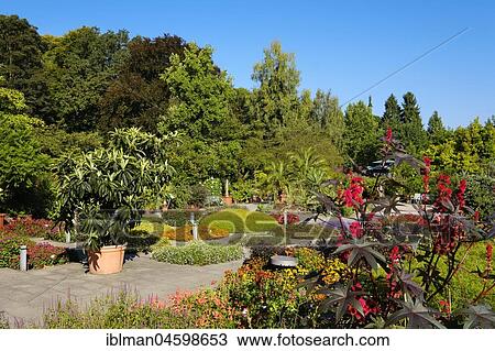 Lower garden, Botanical Garden Augsburg, Swabia, Bavaria, Germany, Europe View Large Photo Image Stock Image - Lower garden, Botanical Garden Augsburg, Swabia, Bavaria, Germany, Europe. Fotosearch