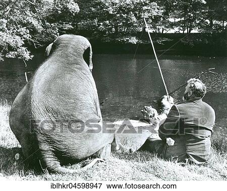 Stock Photo - Man and elephant fishing, England, Great Britain. Fotosearch