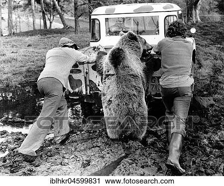 Stock Image - Men and Bear push car, England, Great Britain. Fotosearch
