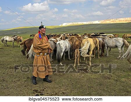 Mongolian man, horse-honored, in traditional dress with herds of horses, Mongolia, Asia View Large Photo Image Stock Image - Mongolian man, horse-honored, in traditional dress with herds of horses, Mongolia, Asia. Fotosearch