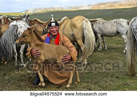 Picture - Mongolian man, horse shepherd, in traditional dress with foal and herd of horses, Mongolia, Asia. Fotosearch