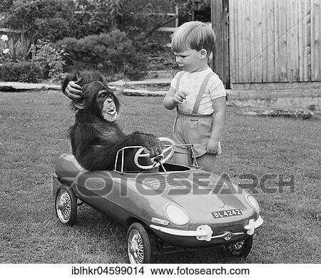 Picture - Monkey and boy with toy car, England, Great Britain. Fotosearch